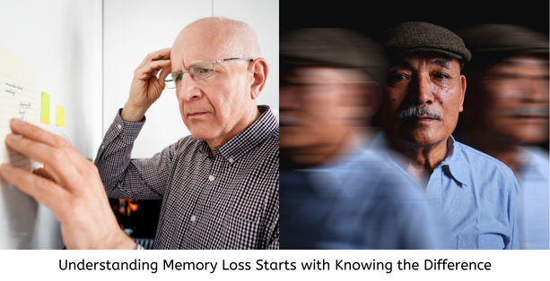 Difference Between Alzheimer’s and Dementia Explained Simply